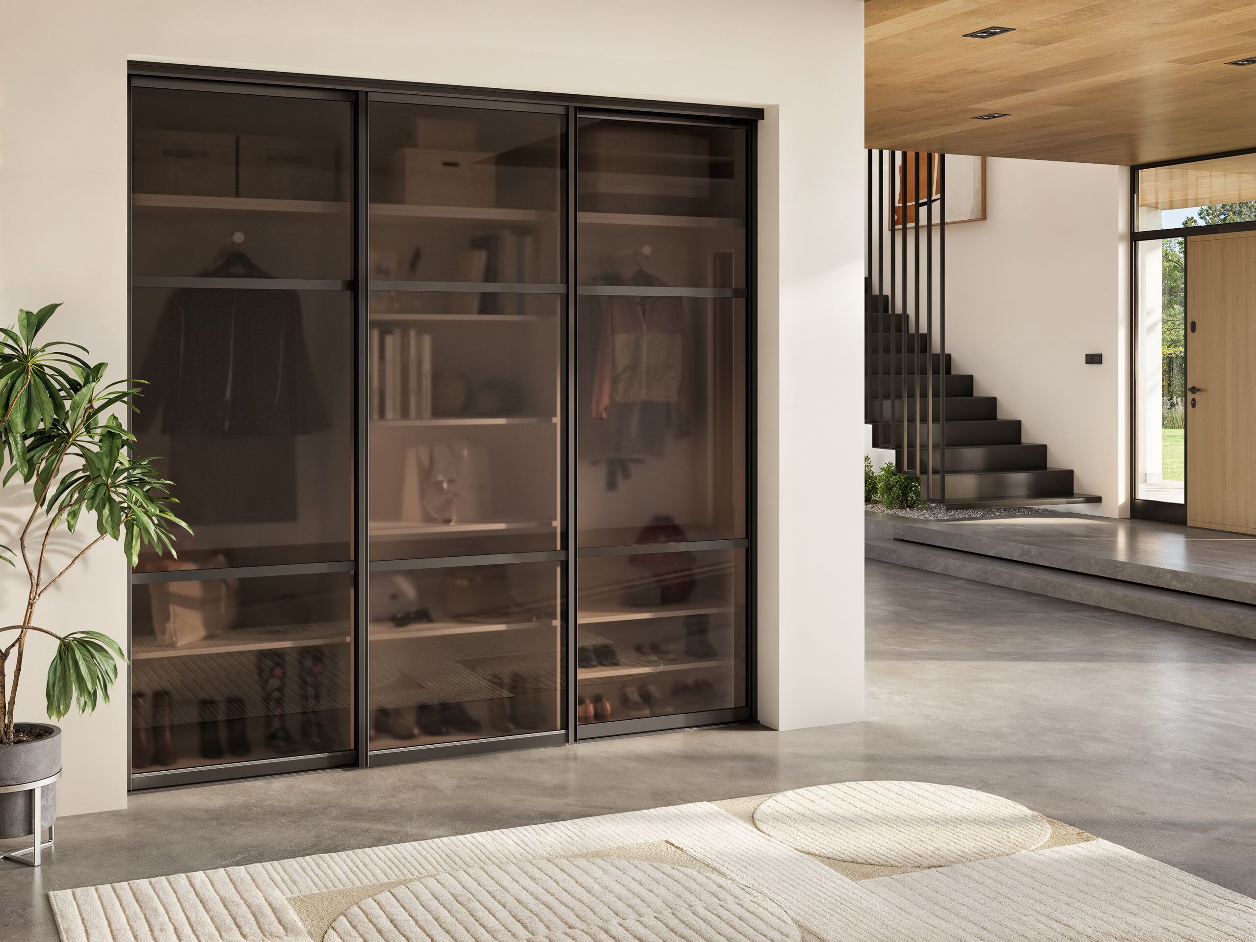 Placard coulissant d'entrée